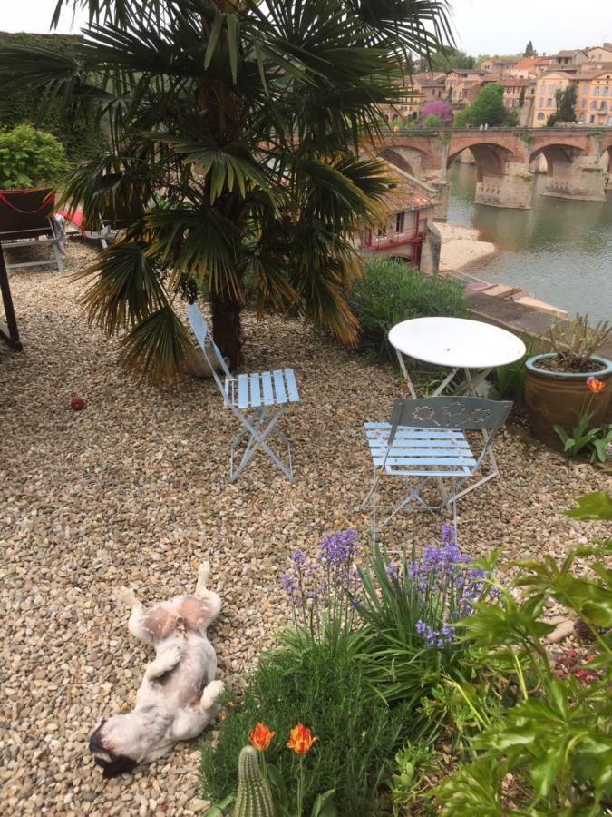Comfort And Fab Views Albi Ngoại thất bức ảnh